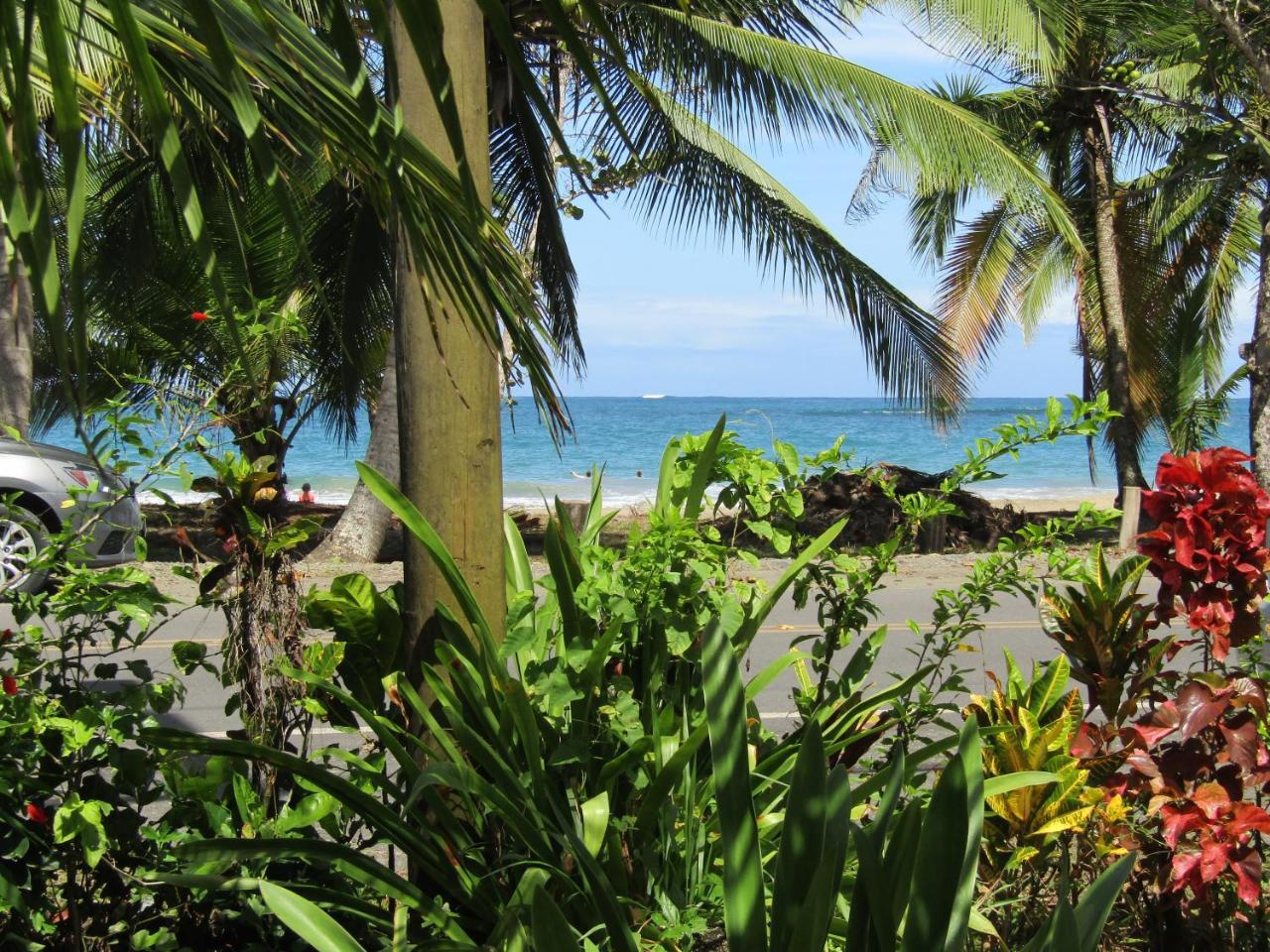 הוילה Pineapple House Manzanillo מראה חיצוני תמונה