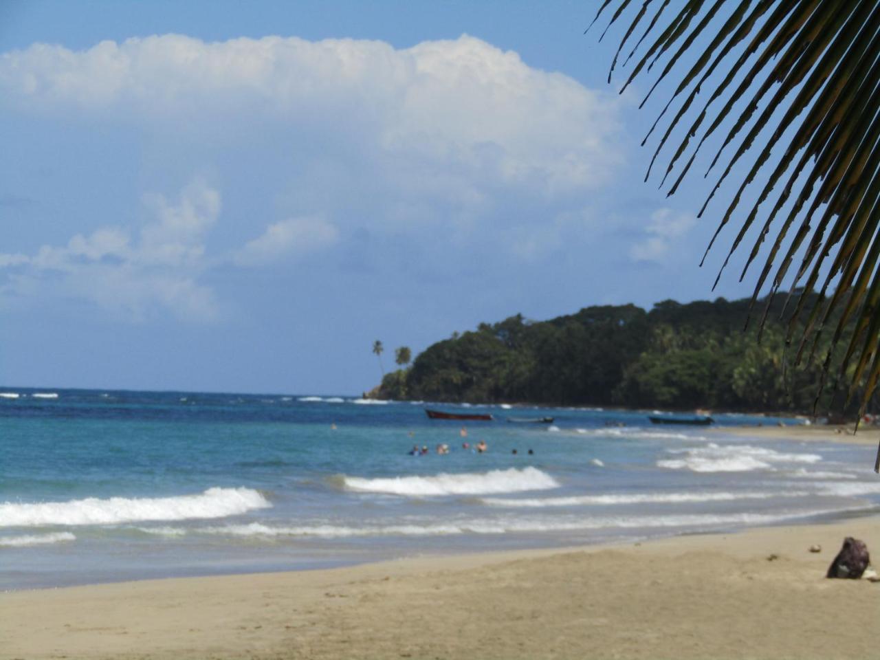 הוילה Pineapple House Manzanillo מראה חיצוני תמונה