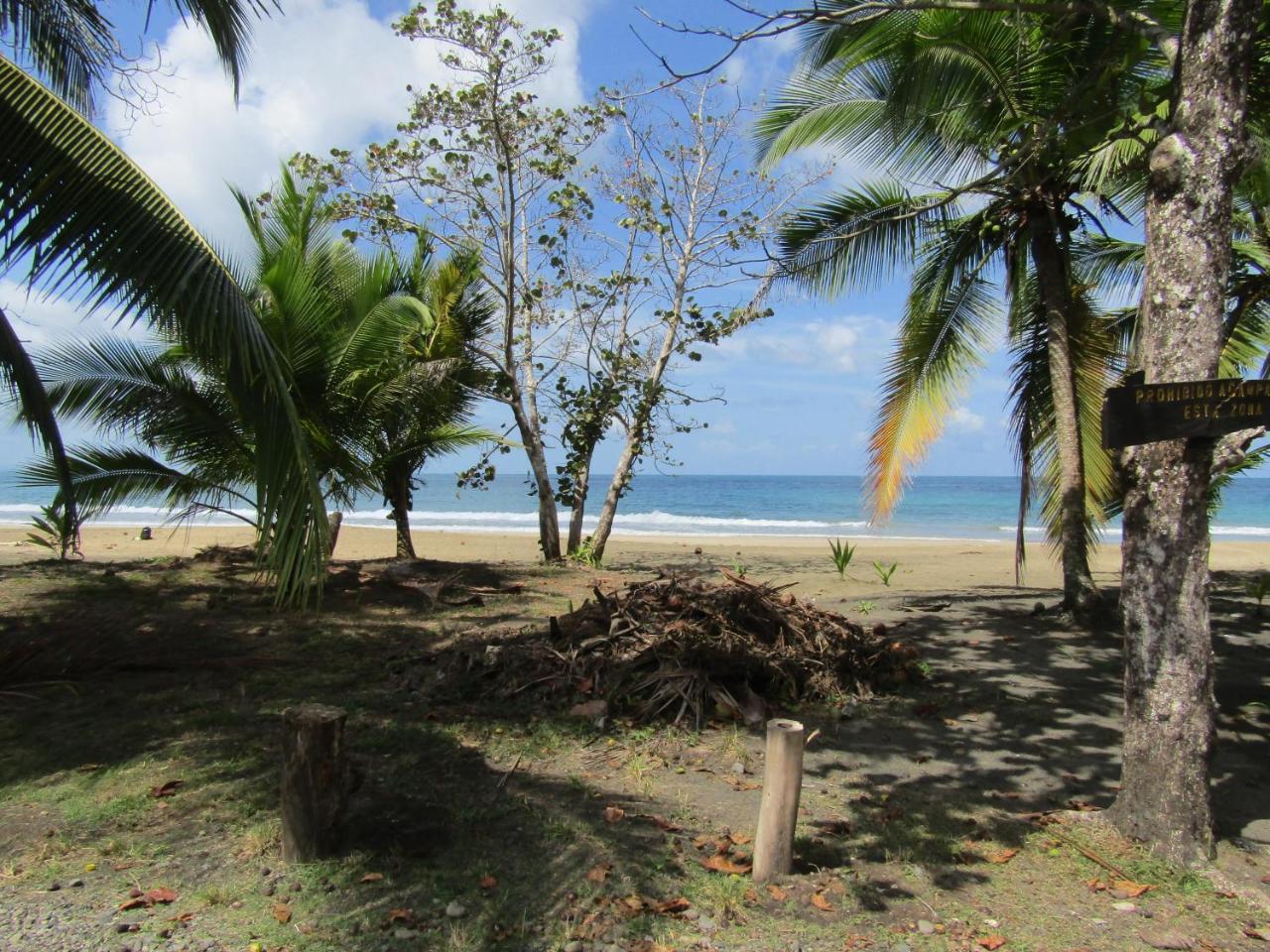 הוילה Pineapple House Manzanillo מראה חיצוני תמונה