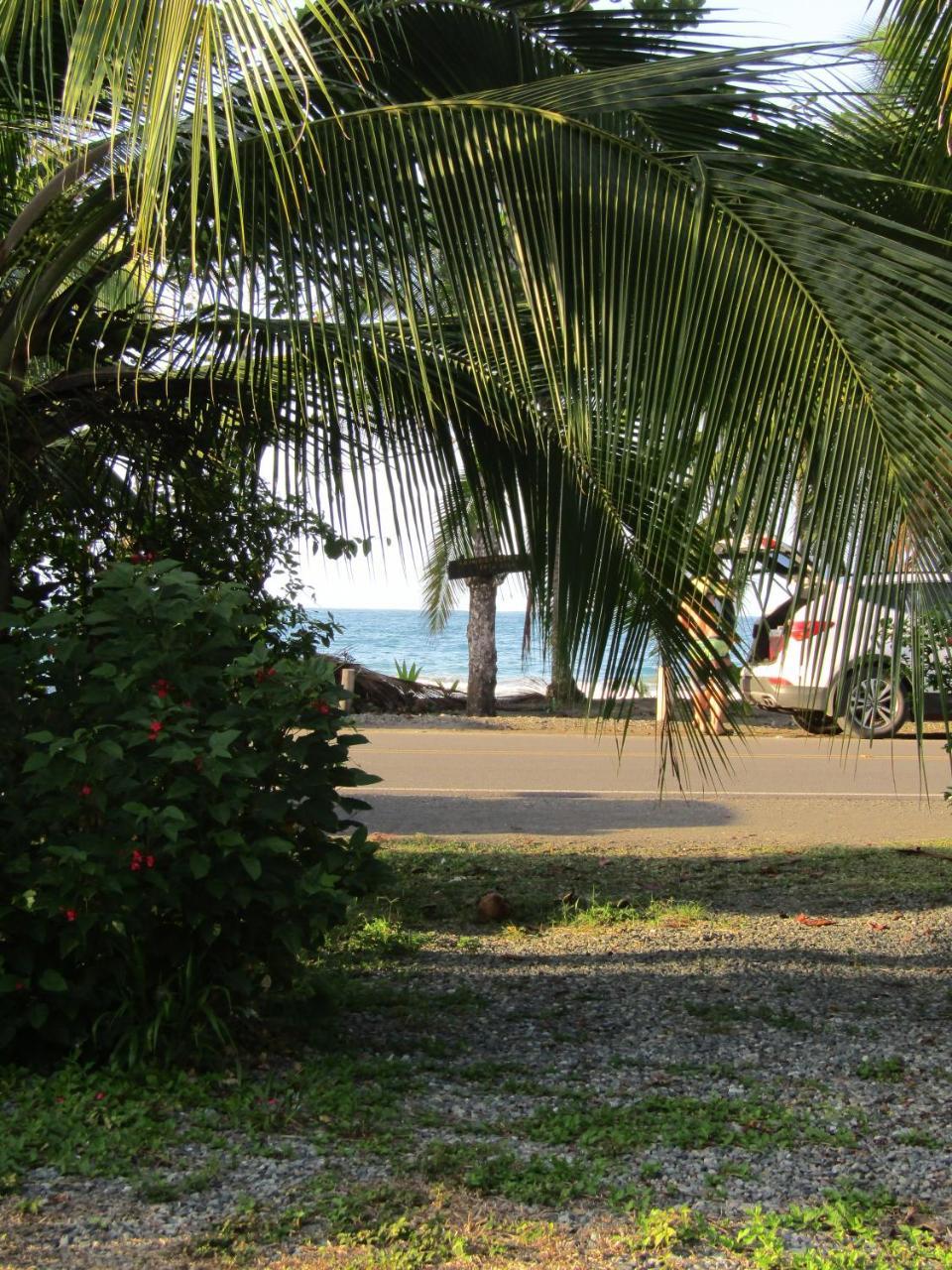 הוילה Pineapple House Manzanillo מראה חיצוני תמונה