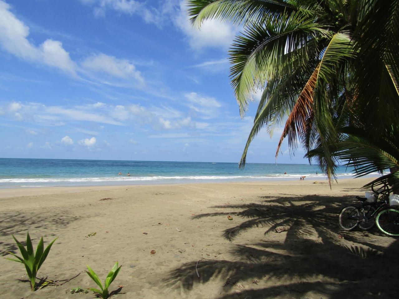 הוילה Pineapple House Manzanillo מראה חיצוני תמונה