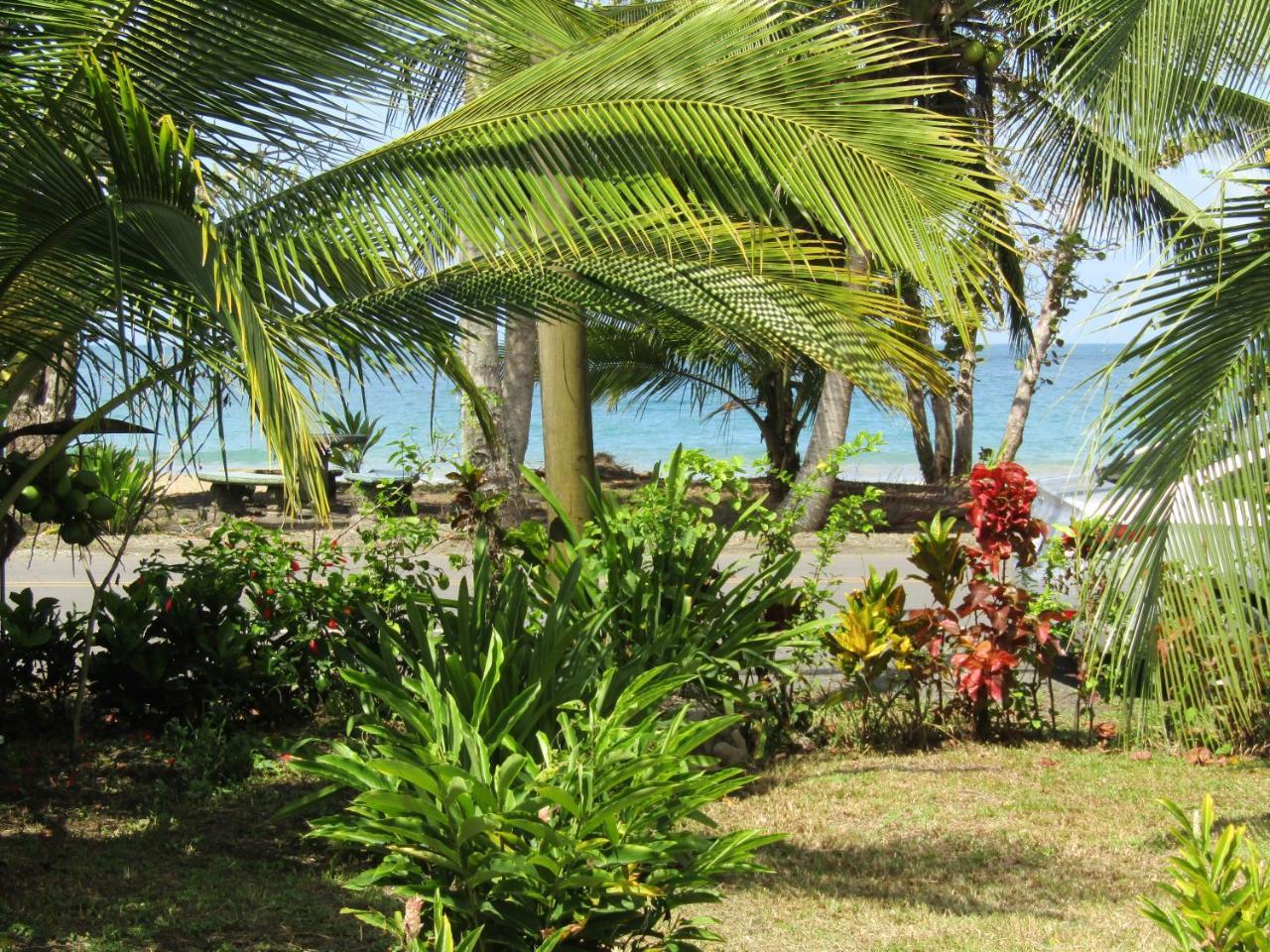 הוילה Pineapple House Manzanillo מראה חיצוני תמונה