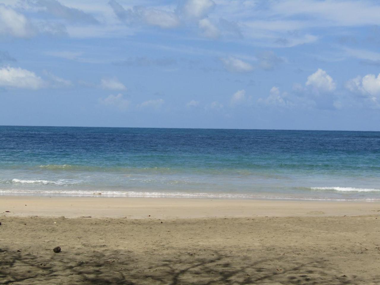 הוילה Pineapple House Manzanillo מראה חיצוני תמונה